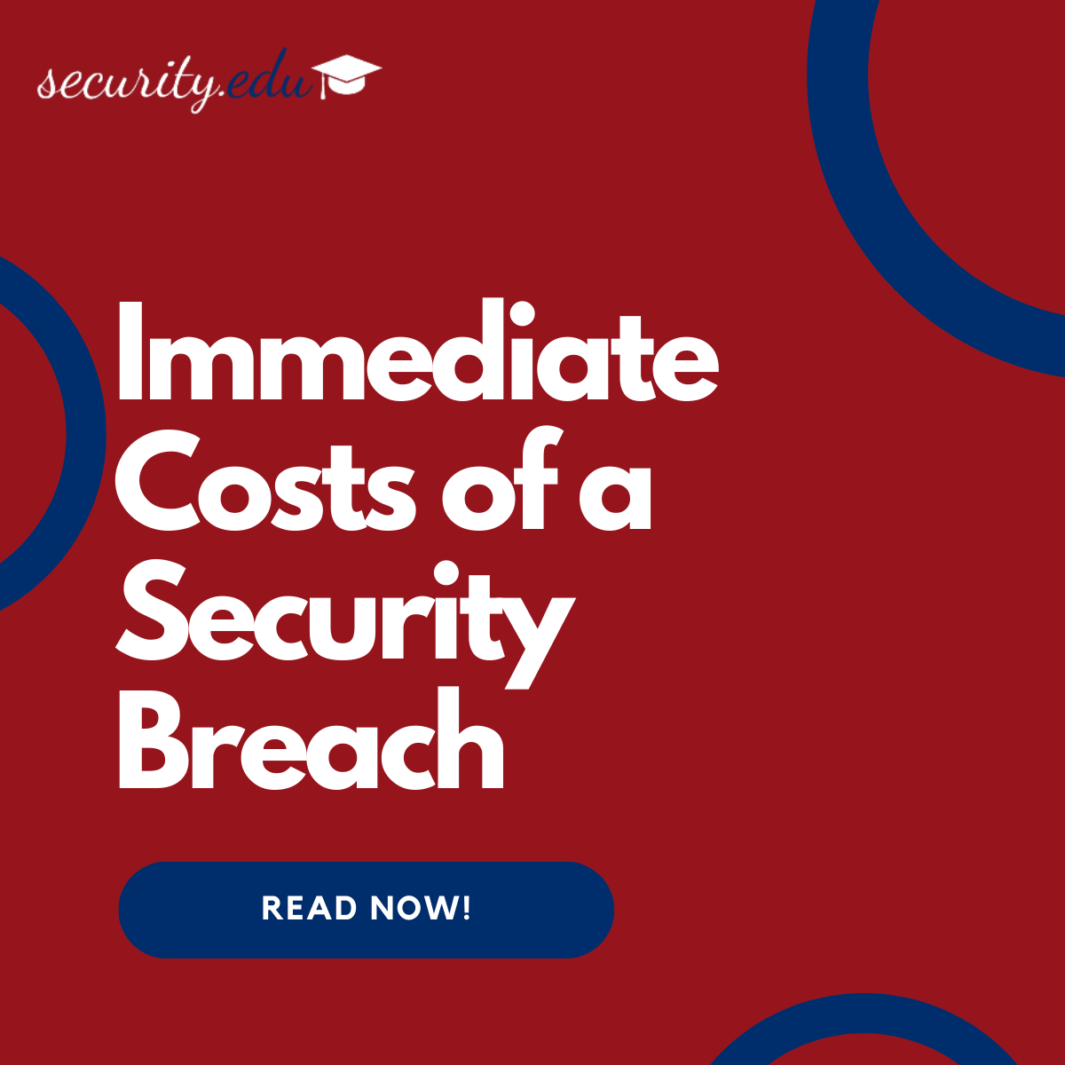 Featured image for “Immediate Costs of a Security Breach”